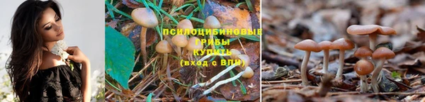 тгк Няндома