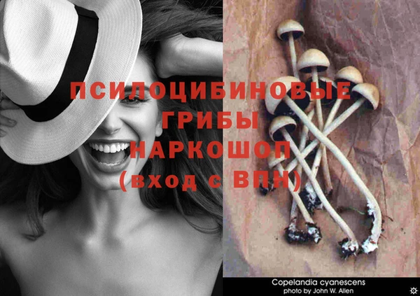 spice Нягань