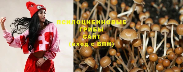 spice Нягань