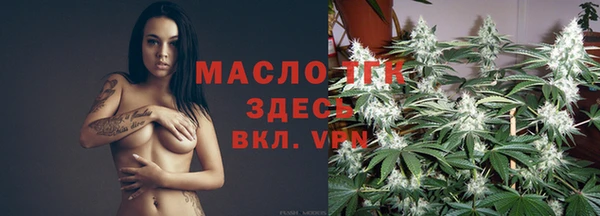 тгк Няндома