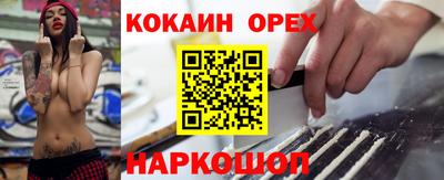 a pvp Гатчина
