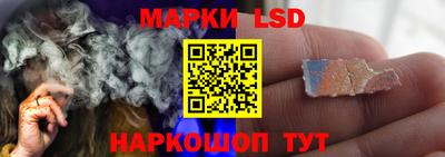 a pvp Гатчина