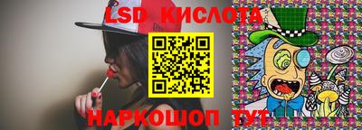 a pvp Гатчина