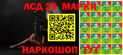 a pvp Гатчина