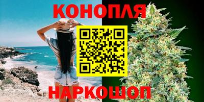 a pvp Гатчина