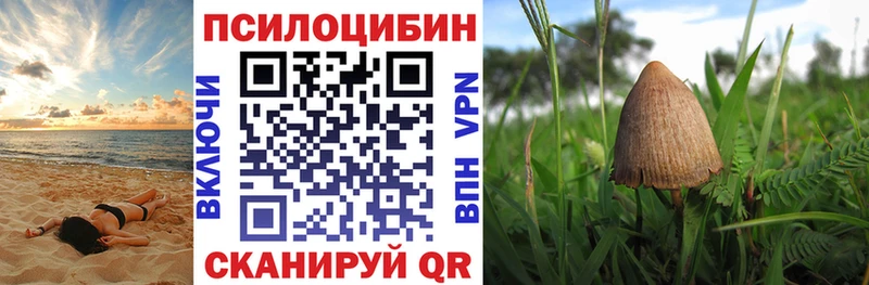 Псилоцибиновые грибы MAGIC MUSHROOMS  Уфа 