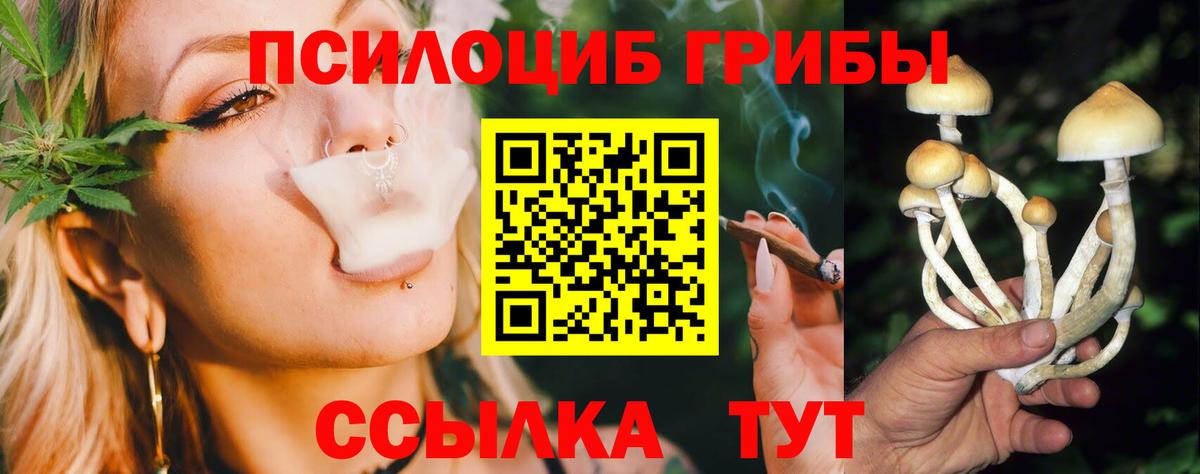 Псилоцибиновые грибы GOLDEN TEACHER  Вход с VPN  Псилоцибиновые грибы MAGIC MUSHROOMS  Уфа 
