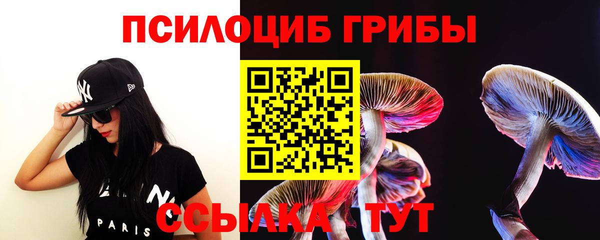 Псилоцибиновые грибы мицелий Уфа