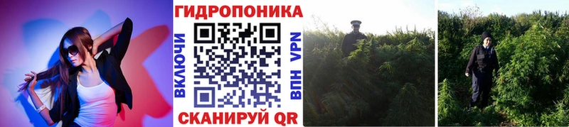 закладка  Уфа  мега рабочий сайт  Бошки марихуана OG Kush 